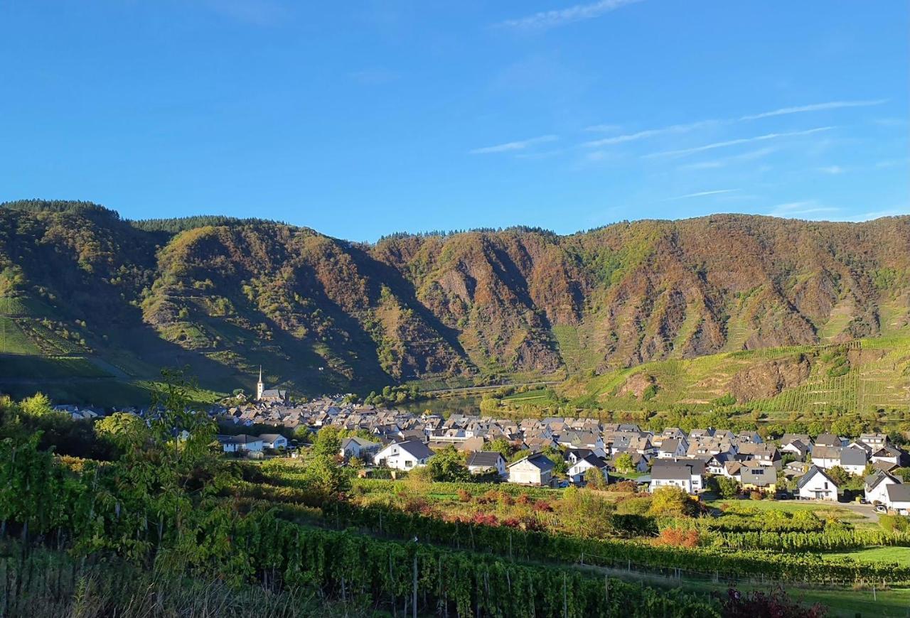 Attraktive Wohnung-Elztalidyll-Zwischen Mosel,Nuerburgring Und Burg Eltz Kollig Exteriér fotografie